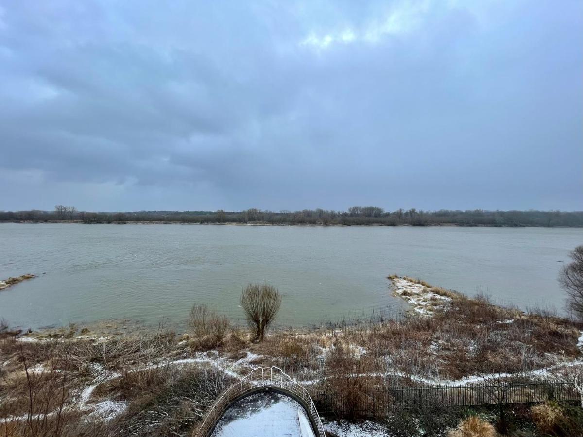 Stary Toruń Pensjonat Winnica מראה חיצוני תמונה