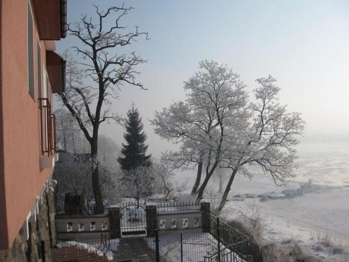 Stary Toruń Pensjonat Winnica מראה חיצוני תמונה