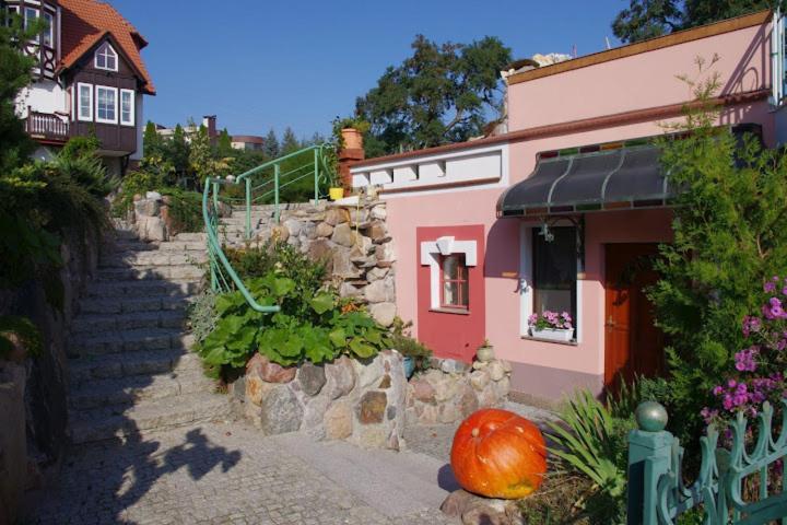 Stary Toruń Pensjonat Winnica מראה חיצוני תמונה